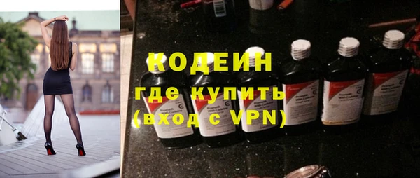 гидра Арсеньев
