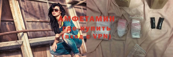 гидра Арсеньев