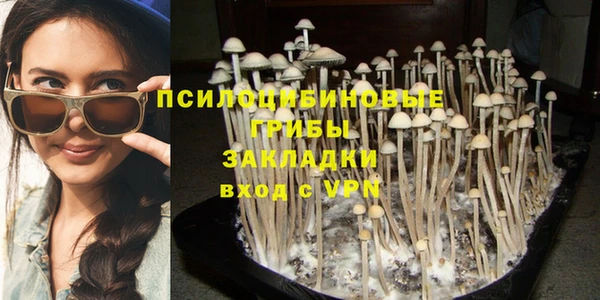 прущая мука Аркадак