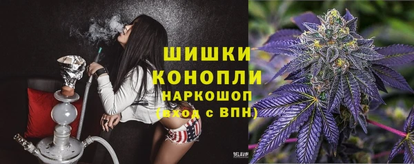 гидра Арсеньев