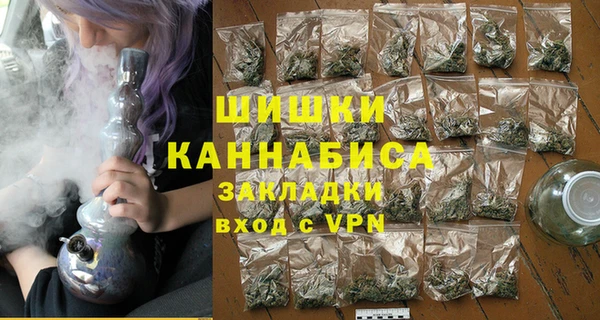 гидра Арсеньев